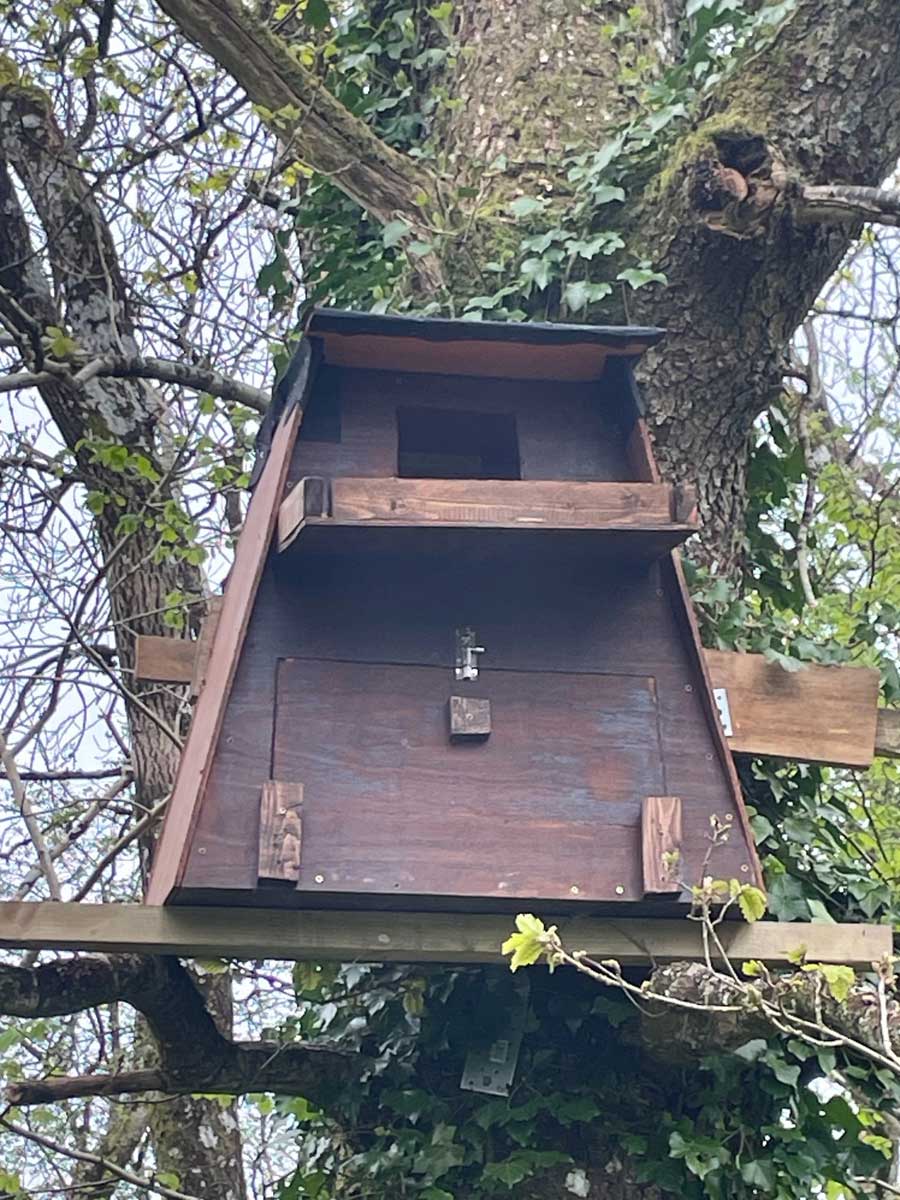 Home Made Owl Boxes
