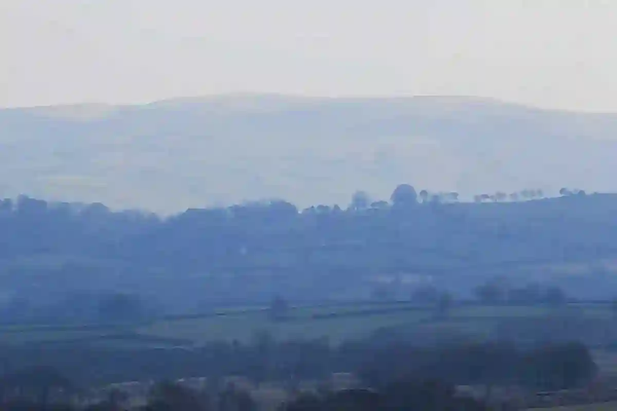 Wild Ponies on Black Mountain