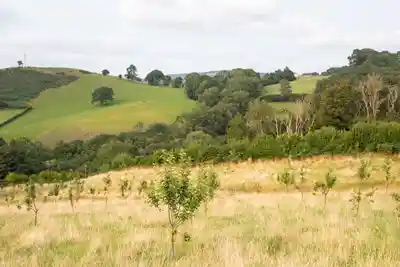 Trail Running