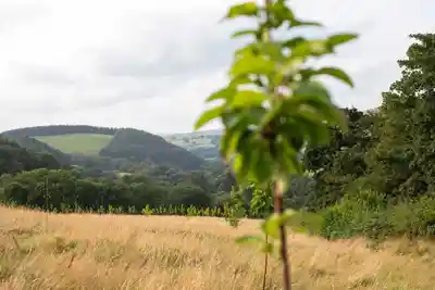 Discover the true beauty of Wales in Llandovery