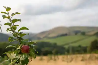 Brecon Oak's stunning natural surroundings
