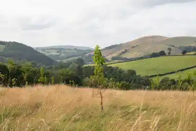 Brecon Oak photos of the countryside