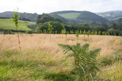 Beautiful Tyle Glas landscapes near Llandovery