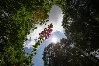 Brecon Oak's stunning natural surroundings