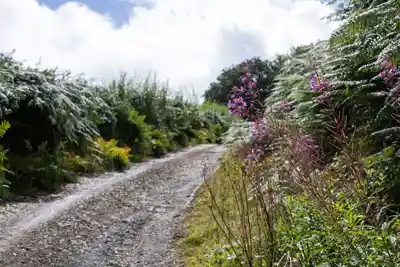 Brecon Oak's stunning natural surroundings