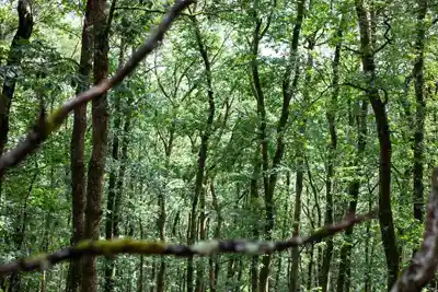 Scenic views of the Brecon Beacons from Brecon Oak