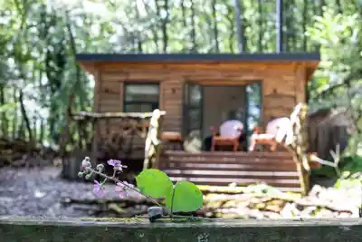 Relaxing countryside scenes in Wales