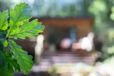 Brecon Oak's stunning natural surroundings